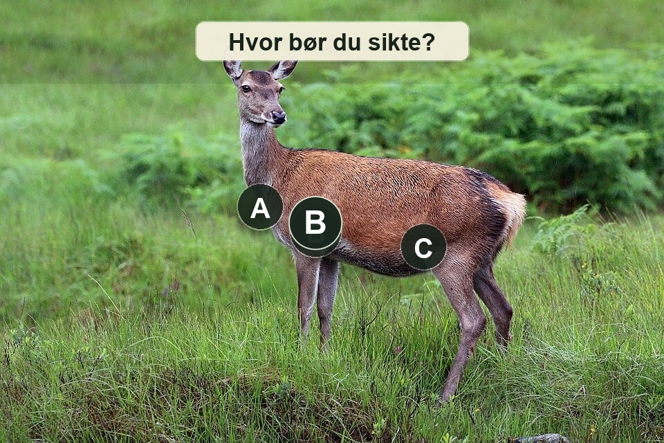 Hjortevilt med siktepunkter